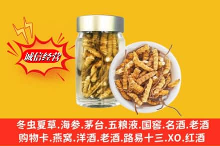 中山横栏镇回收散虫草