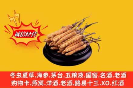中山横栏镇求购回收虫草多少钱每克